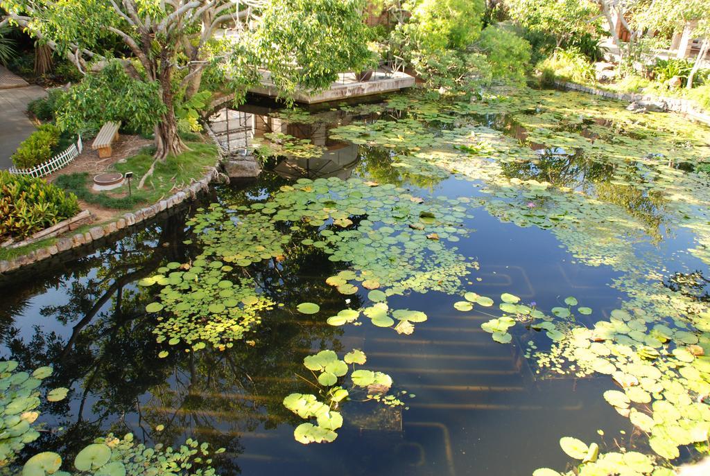 Yukurinaresort Okinawa Hills Churaumi Motobu Exteriér fotografie